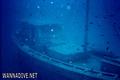 scuba diving photo