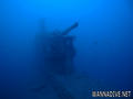 scuba diving photo