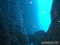 scuba diving photo