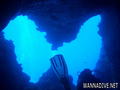 scuba diving photo