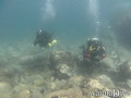 scuba diving photo