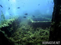 scuba diving photo