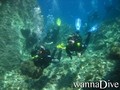 foto de buceo