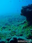 foto de buceo