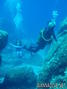 foto de buceo