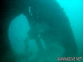 scuba diving photo