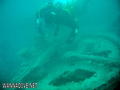 scuba diving photo