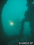scuba diving photo