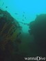 scuba diving photo