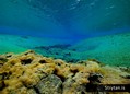 scuba diving photo