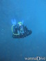 foto de buceo
