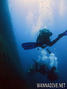 scuba diving photo