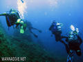 scuba diving photo