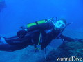 scuba diving photo