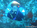 scuba diving photo