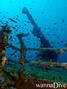 scuba diving photo