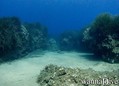 scuba diving photo