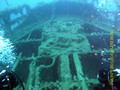 scuba diving photo