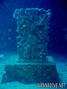 scuba diving photo