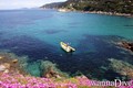 scuba diving photo