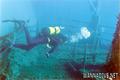 scuba diving photo