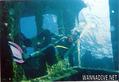 scuba diving photo