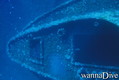 scuba diving photo