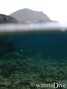 scuba diving photo