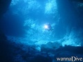 scuba diving photo