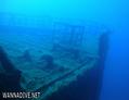 scuba diving photo