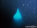 scuba diving photo