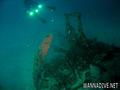 scuba diving photo
