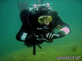 scuba diving photo