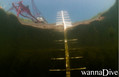 scuba diving photo