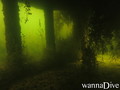scuba diving photo