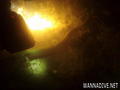 scuba diving photo