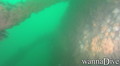 foto de buceo