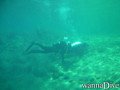 scuba diving photo