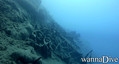 scuba diving photo