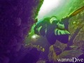 scuba diving photo