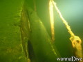 scuba diving photo
