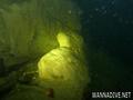scuba diving photo
