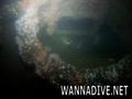 scuba diving photo