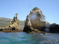 scuba diving photo