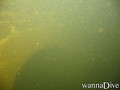 scuba diving photo
