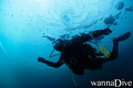 scuba diving photo