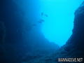 scuba diving photo