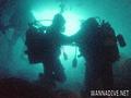 scuba diving photo