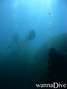scuba diving photo