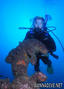 foto de buceo
